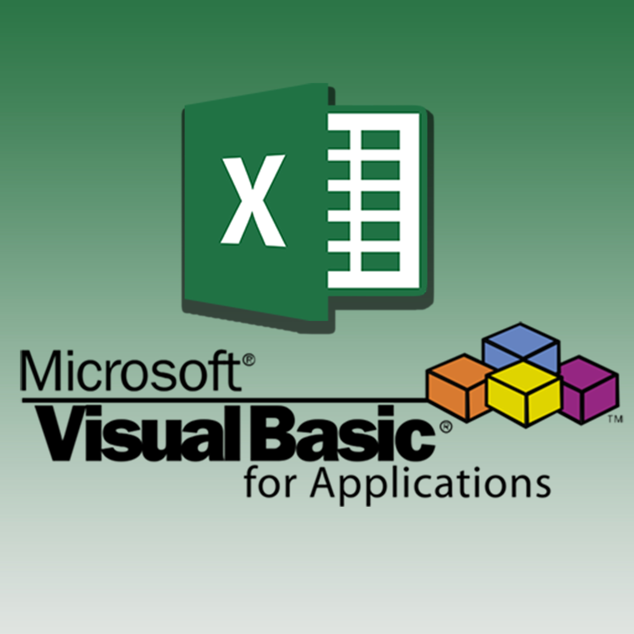 VBA1 | ExcelSirJi