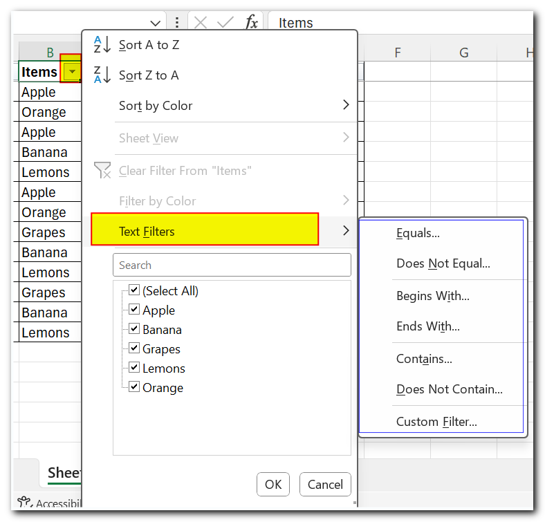 How to Use Filter in Excel