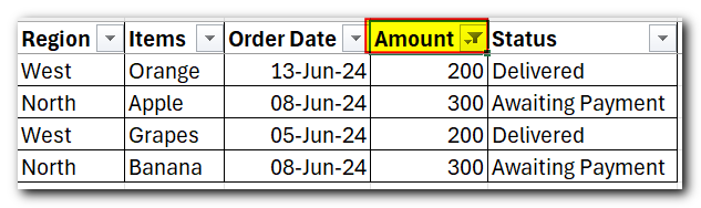 How to Use Filter in Excel