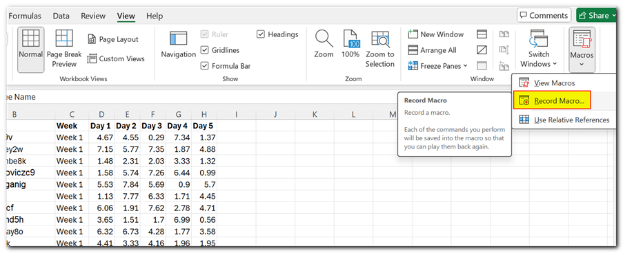 Write Your First Macro in Excel