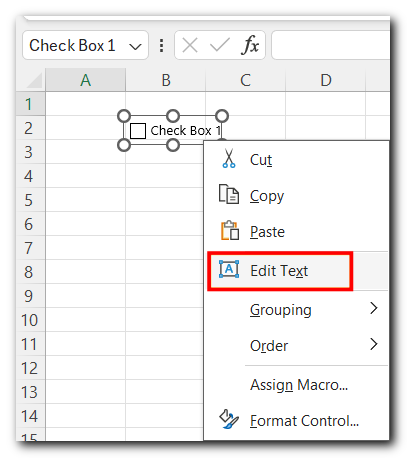 8.6 Check Box in excel