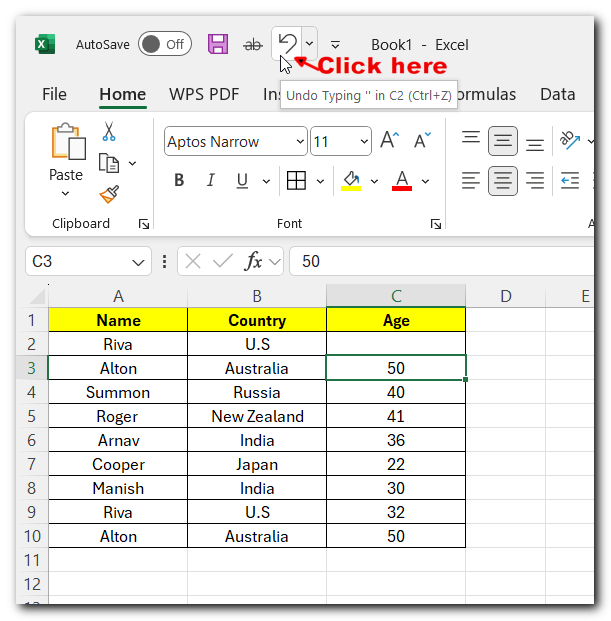 25.5 undo excel